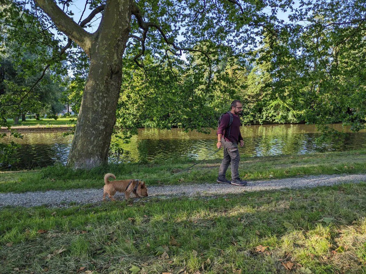 Working in the park while JJ stands guard