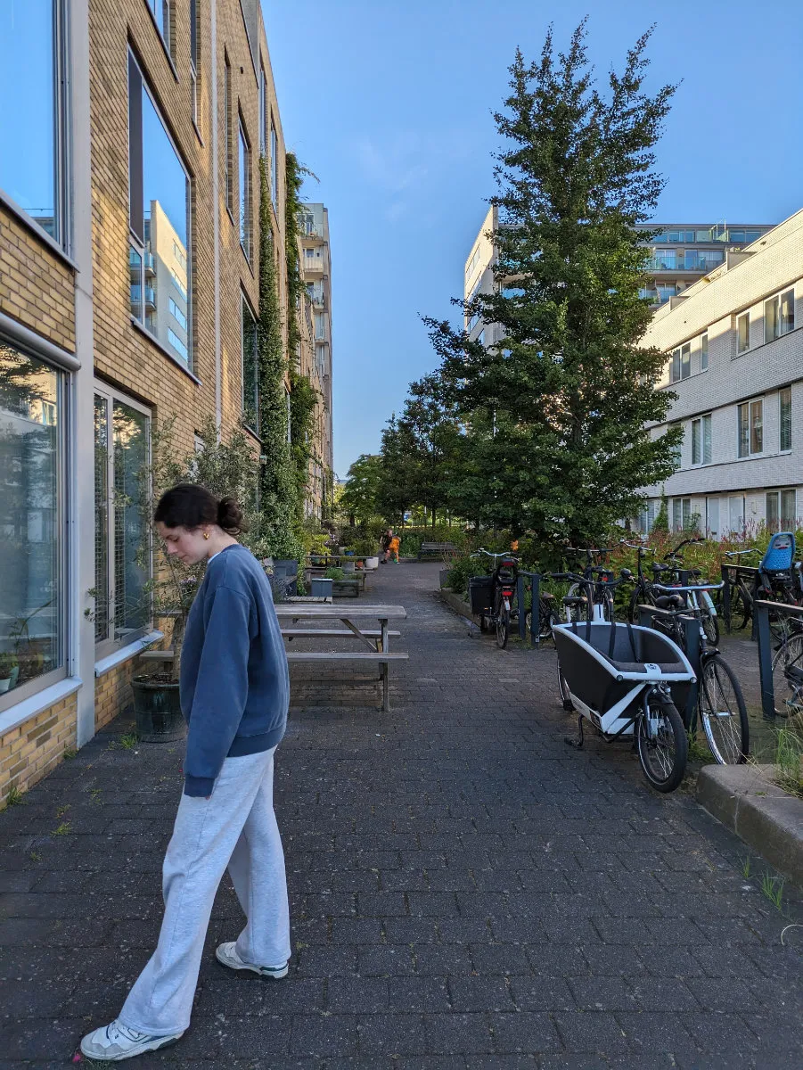 Sophia among the town houses