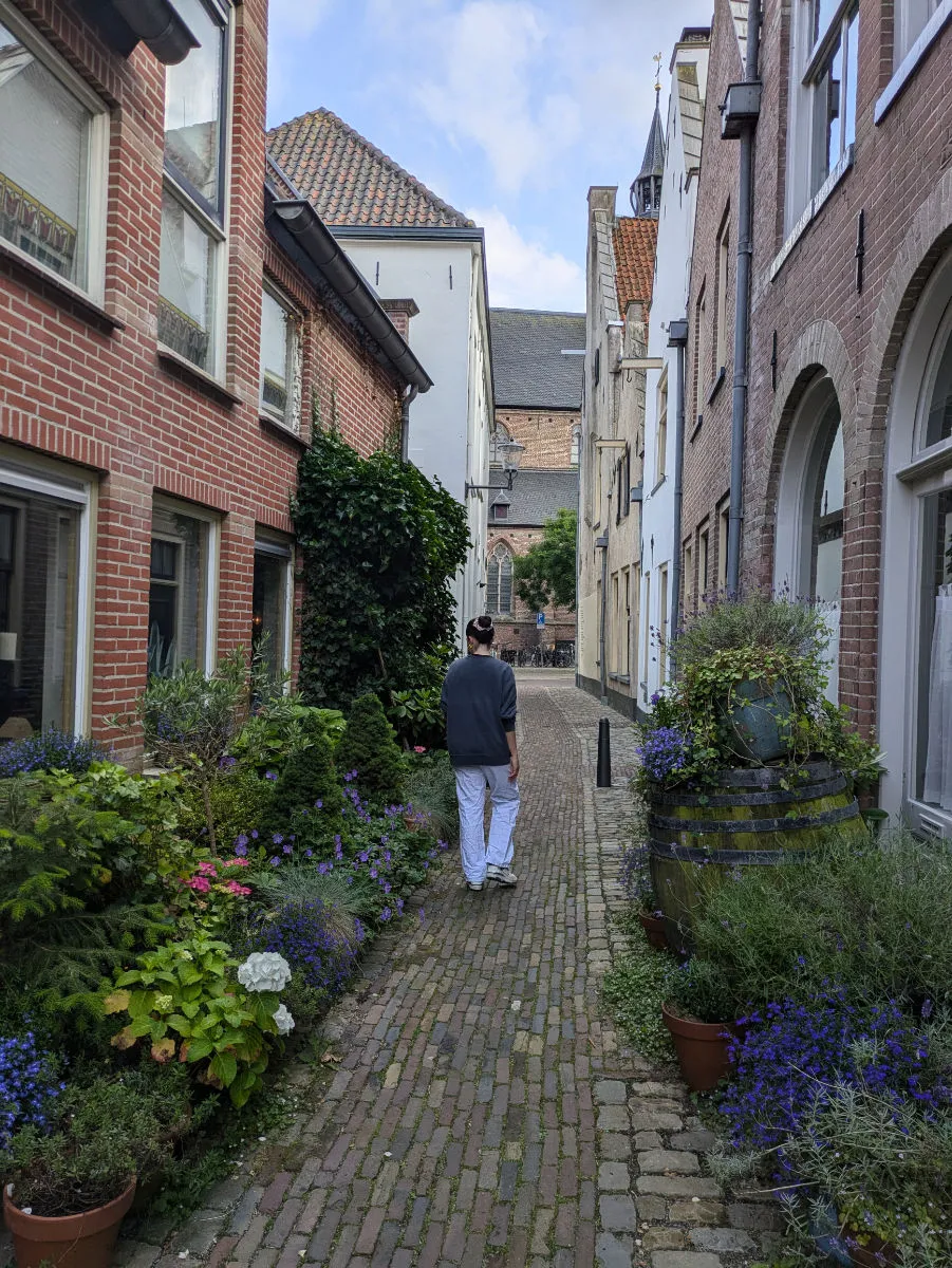 Le vie fiorite di Hattem